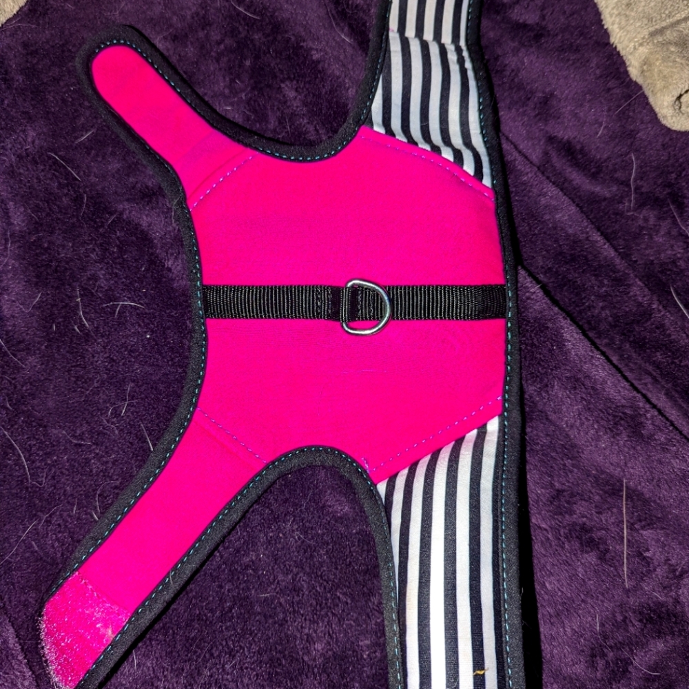 Kong small used dog harness for a puppy/mini dog